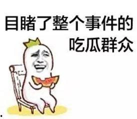 娱乐吃瓜菌体育,娱乐吃瓜菌带你揭秘精彩瞬间